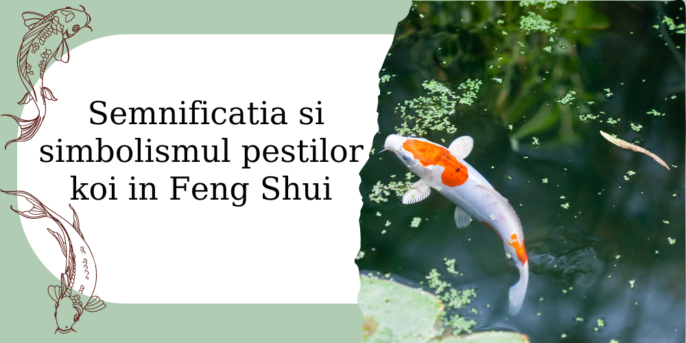 The meaning and symbolism of koi fish in Feng Shui